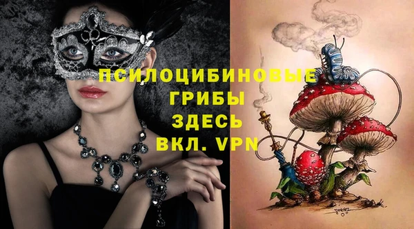 мяу мяу мука Алексин