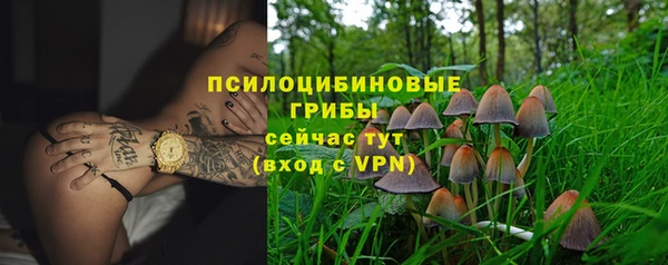 дмт Аркадак