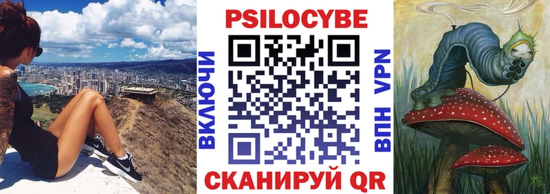 Псилоцибиновые грибы Psilocybe  Сибай 